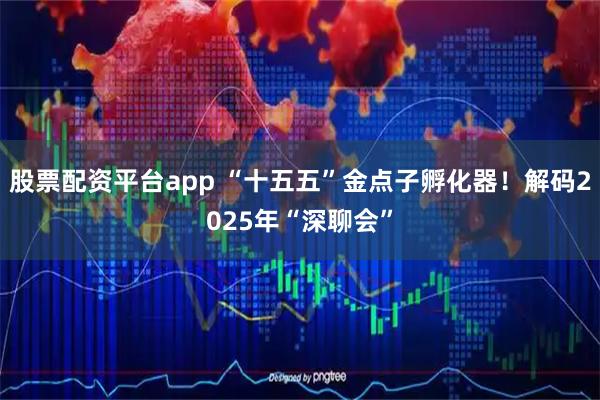 股票配资平台app “十五五”金点子孵化器！解码2025年“深聊会”